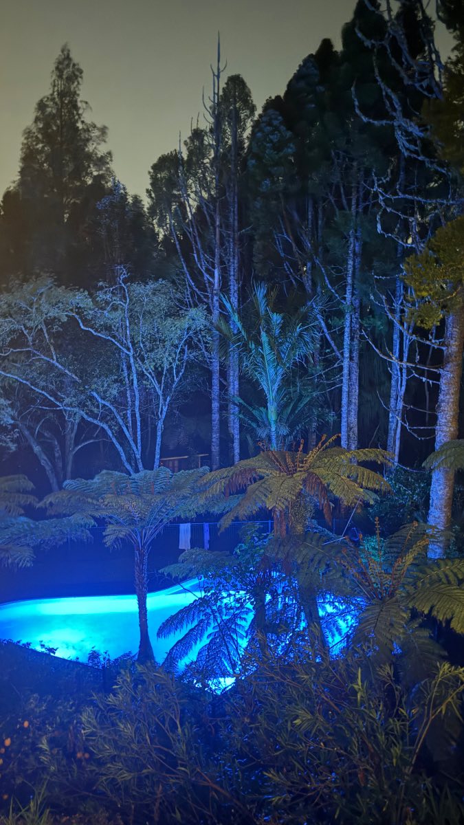 A backyard hosted on Yardzzz in New Zealand