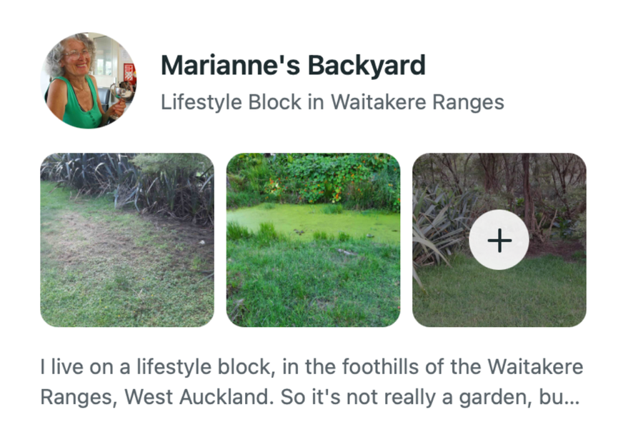 Marianne's Backyard - Early Host